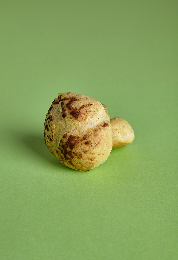 Funghetto alla nocciola