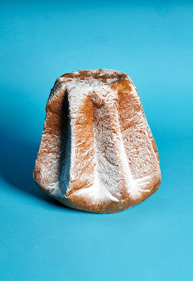 Pandoro